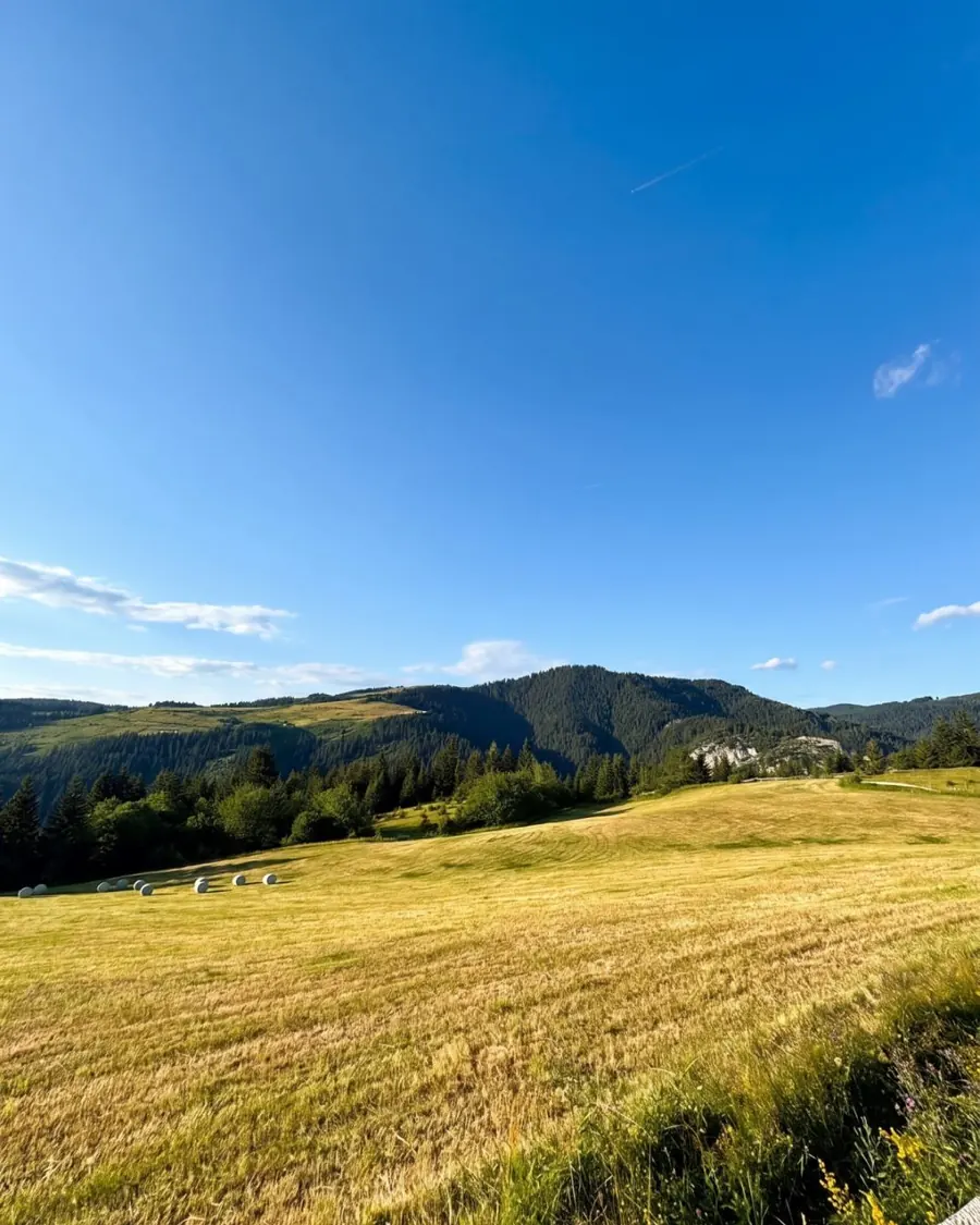 Livada i brda Vlašića oko vikendica